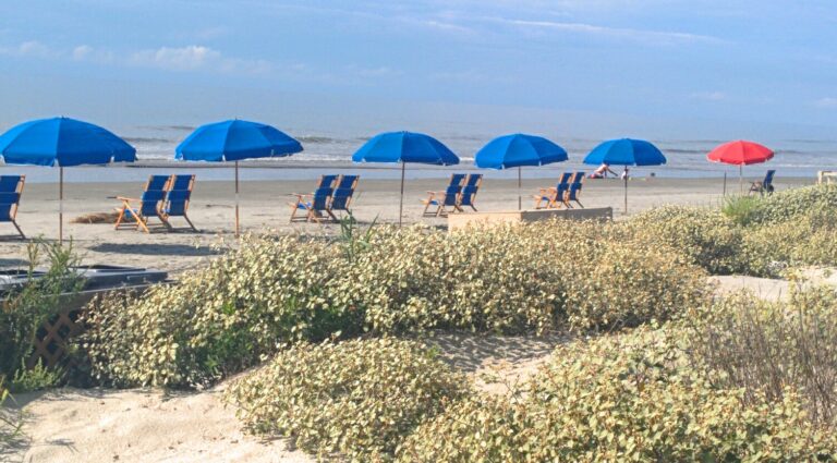 A sunny day at Kiawah Island with multiple blue beach umbrellas and chairs along the shoreline, dunes with green vegetation in the foreground. Title: Serenity at Kiawah Island Beach