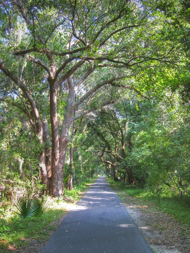 A serene bike path lined with majestic oak trees on Kiawah Island, inviting a peaceful ride.