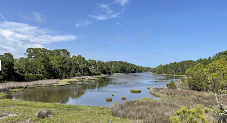 Bikers can enjoy picturesque views of the calm waters and lush greenery at Blue Heron Park on Kiawah Island.