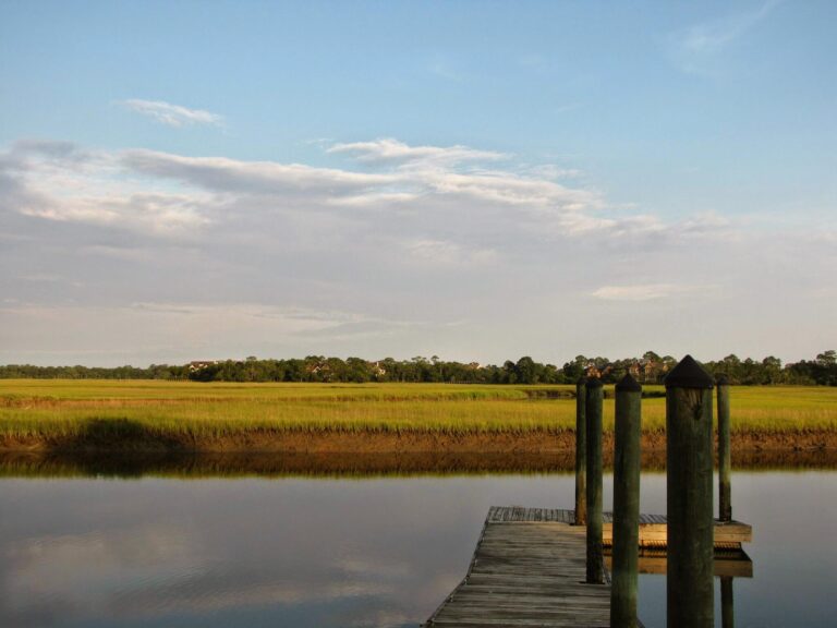 The serene Eagle Point Landing at 222 Eagle Point Road, a haven for birdwatchers and a scenic stop for bikers on Kiawah Island.