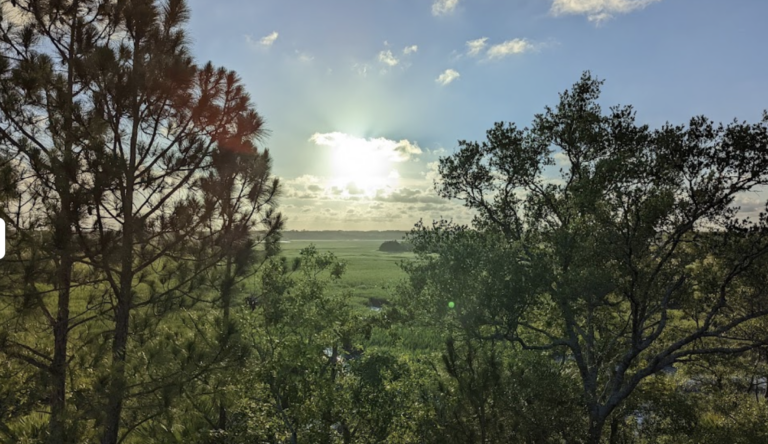Breathtaking view from a Kiawah Island lookout, with the sun setting over the lush marshlands framed by silhouettes of trees.